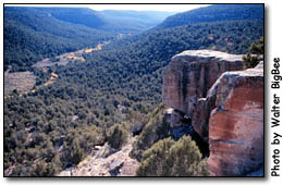 North rim of Woods Canyon.