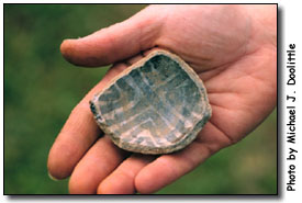 Painted pottery sherd.