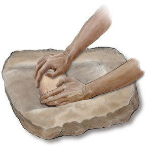 Trough metate, two-hand mano. Illustration by Joyce Heuman Kramer; copyright Crow Canyon Archaeological Center.