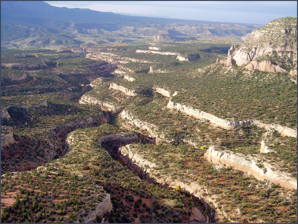 Pinyon-, juniper-, and sagebrush-covered landscape. Photo by Dan Mooney; copyright Crow Canyon Archaeological Center.