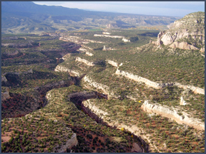 Pinyon-, juniper-, and sagebrush-covered landscape. Photo by Dan Mooney; copyright Crow Canyon Archaeological Center.