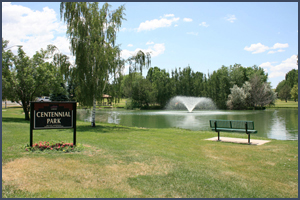 Park. Photo by Joyce Alexander; copyright Crow Canyon Archaeological Center.