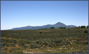 Ute Mountain and sage plain. Photo by Joyce Alexander; copyright Crow Canyon Archaeological Center.