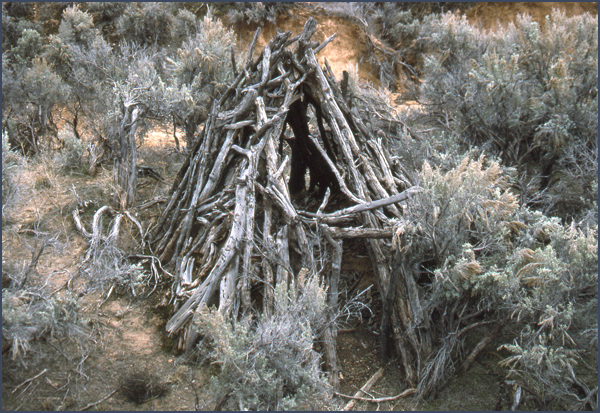 Forked-pole hogan. Photo by Leslie Sesler; courtesy La Plata Archaeological Consultants.