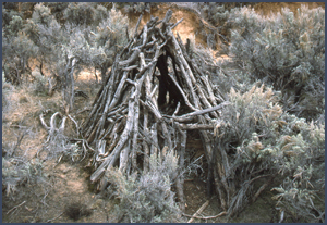 Forked-pole hogan. Photo by Leslie Sesler; courtesy La Plata Archaeological Consultants.