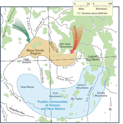 Ancestral Ute and Navajo migrations into the Mesa Verde region. Map by Neal Morris; copyright Crow Canyon Archaeological Center.