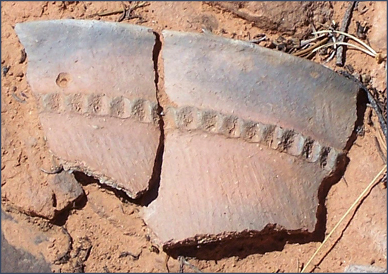 Navajo pottery sherds. Photo by Jonathan Till.