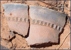 Navajo pottery sherds. Photo by Jonathan Till.