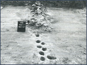 Postholes. National Park Service photograph from Badger House Community, Mesa Verde National Park, Colorado, by Alden C. Hayes and James A. Lancaster, Publications in Archeology, no. 7E, National Park Service, Washington, D.C., 1975.