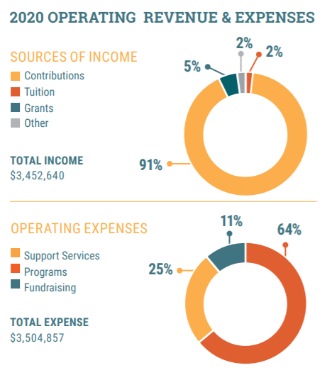 2020 Revenue and Expenses charts